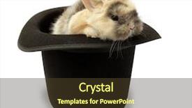  Presentation with top hat - Slide set with young businessman running with megaphone in hand background and a light gray colored foreground