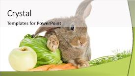  Presentation with formula one car - Presentation theme featuring rabbit bunny with fresh vegetables background and a white colored foreground