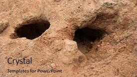  Presentation with rabbit - Amazing slide set having rabbit holes a burrow made backdrop and a coral colored foreground