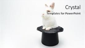  Presentation with rabbit - Amazing theme having rabbit-in-a-hat-isolated backdrop and a white colored foreground