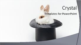  Presentation with rabbit - Slide set consisting of rabbit-in-a-hat-isolated background and a white colored foreground