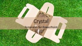  Presentation with rabbit - Slides featuring rabbit-in-a-paper-box background and a coral colored foreground