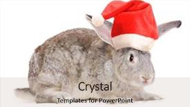  Presentation with rabbit - Beautiful PPT layouts featuring christmas pets animals concept - rabbit in a santas hat backdrop and a mint green colored foreground
