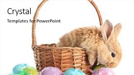  Presentation with easter basket - Slides having rabbit in basket with easter background and a white colored foreground