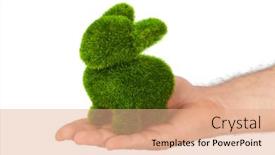  Presentation with rabbit - Presentation featuring rabbit-made-of-grass background and a coral colored foreground