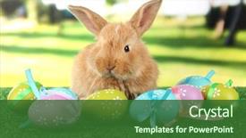  Presentation with rabbit - Cool new PPT theme with rabbit on grass with easter backdrop and a forest green colored foreground