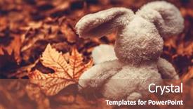  Presentation with dry forest - Beautiful presentation featuring rabbit sitting on the ground backdrop and a red colored foreground
