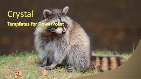  Presentation with canada - Beautiful slide deck featuring park in montreal canada backdrop and a tawny brown colored foreground