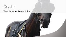  Presentation with eye - Presentation theme enhanced with racehorse-with-pacifier-eye-mesh background and a white colored foreground