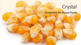  Presentation with corn - Audience pleasing PPT layouts consisting of raci - corn seeds backdrop and a  colored foreground