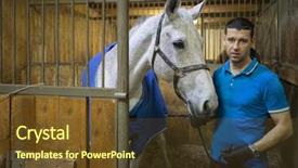  Presentation with white horse - PPT layouts enhanced with raci - handsome man in gloves background and a tawny brown colored foreground