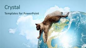  Presentation with tv news globe - Amazing slide deck having raci - image of siamese cat playing backdrop and a light blue colored foreground