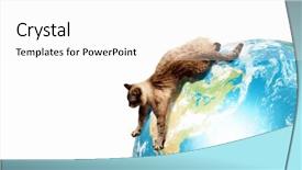  Presentation with peoplearound globe - Cool new presentation theme with raci - image of siamese cat playing backdrop and a white colored foreground