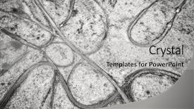  Presentation with height - Cool new theme with racing tracks and landscape backdrop and a light gray colored foreground