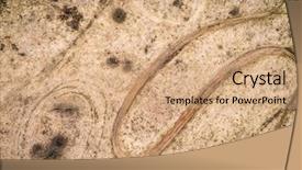  Presentation with height - Beautiful PPT theme featuring racing tracks and landscape backdrop and a coral colored foreground