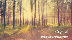  Presentation with film - Audience pleasing theme consisting of radiance - beautiful sunset in the woods backdrop and a coral colored foreground