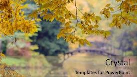  Presentation with autumn - Beautiful PPT theme featuring radiance brown - autumn - old bridge backdrop and a  colored foreground