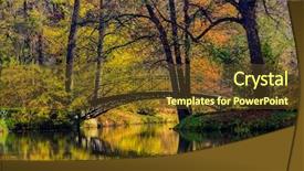  Presentation with old hawaii - PPT layouts consisting of back choice between modern education background and a gray colored foreground.