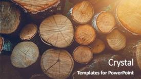  Presentation with aging - Cool new theme with radiation aging - birch dry wood cuts closeup backdrop and a  colored foreground