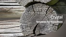  Presentation with textured natural bamboo fence - Amazing PPT theme having radiation aging - natural wood textured background backdrop and a gray colored foreground