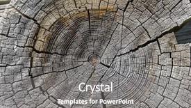  Presentation with wood texture - Cool new presentation theme with radiation aging - wood cross section background natural backdrop and a gray colored foreground