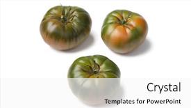  Presentation with white green - Audience pleasing slide deck consisting of raf heirloom tomatoes on white backdrop and a white colored foreground