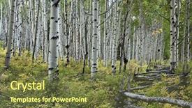  Presentation with divide - Slide set featuring rail fence near dallas background and a tawny brown colored foreground