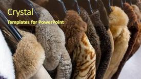  Presentation with thrift shop - Presentation theme with thrift store or charity background and a tawny brown colored foreground