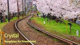  Presentation with sakura - Presentation design consisting of railroad tracks - sakura tree and train track background and a tawny brown colored foreground