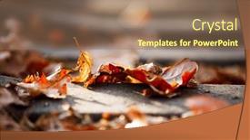  Presentation with autumn leaves - PPT theme enhanced with railway-rails-closeup-background background and a coral colored foreground