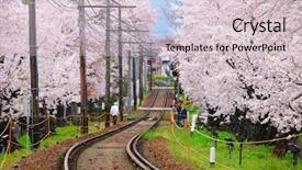  Presentation with sakura - PPT layouts consisting of railway with sakura tree background and a lemonade colored foreground