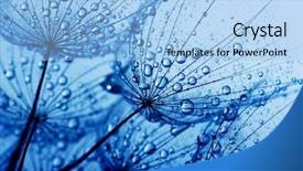  Presentation with water flow in pipe - Slide set consisting of rain backgrounds - dandelion flower with water drops background and a light blue colored foreground