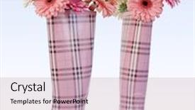  Presentation with rain - Slides enhanced with rain boots filled with pink gerber daisies background and a soft green colored foreground