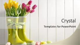  Presentation with tulips - Audience pleasing PPT layouts consisting of rain boots fresh tulips backdrop and a sky blue colored foreground