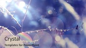  Presentation with liquid roof rain drops - PPT theme having rain drops in the spring background and a seafoam green colored foreground