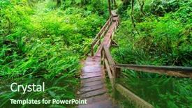  Presentation with islam and forest - Amazing slide set having rain forest in vancouver island backdrop and a forest green colored foreground