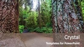  Presentation with british columbia canada - Amazing PPT theme having rain forest in vancouver island backdrop and a gray colored foreground
