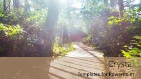  Presentation with british columbia - Presentation design consisting of rain-forest-in-vancouver-island background and a coral colored foreground