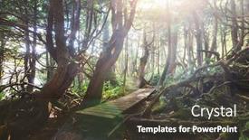  Presentation with british columbia canada - Presentation theme consisting of rain-forest-in-vancouver-island background and a tawny brown colored foreground
