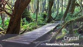 Presentation with british columbia canada - Presentation theme with rain-forest-in-vancouver-island background and a gray colored foreground