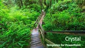 Presentation with british columbia canada - Presentation theme enhanced with rain forest in vancouver island background and a forest green colored foreground