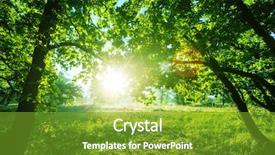  Presentation with british columbia canada - Slides having rain forest in vancouver island background and a tawny brown colored foreground