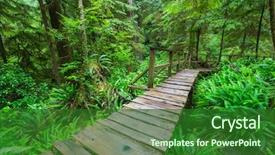  Presentation with british columbia canada - Slide set consisting of rain forest in vancouver island background and a forest green colored foreground