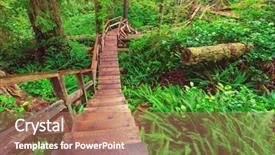  Presentation with british columbia canada - Slide deck consisting of rain forest in vancouver island background and a coral colored foreground