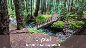  Presentation with british columbia canada - Slide deck enhanced with rain forest in vancouver island background and a gray colored foreground