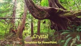  Presentation with british columbia canada - PPT layouts featuring rain forest in vancouver island background and a tawny brown colored foreground