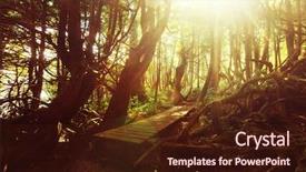  Presentation with islam and forest - Colorful slide set enhanced with rain forest in vancouver island backdrop and a wine colored foreground
