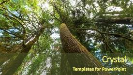  Presentation with british columbia canada - Amazing slide set having rain forest in vancouver island backdrop and a tawny brown colored foreground