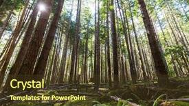  Presentation with british - Presentation design featuring rain forest in vancouver island background and a tawny brown colored foreground