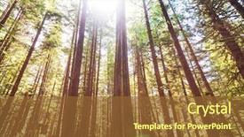  Presentation with islam and forest - Amazing PPT theme having rain forest in vancouver island backdrop and a tawny brown colored foreground